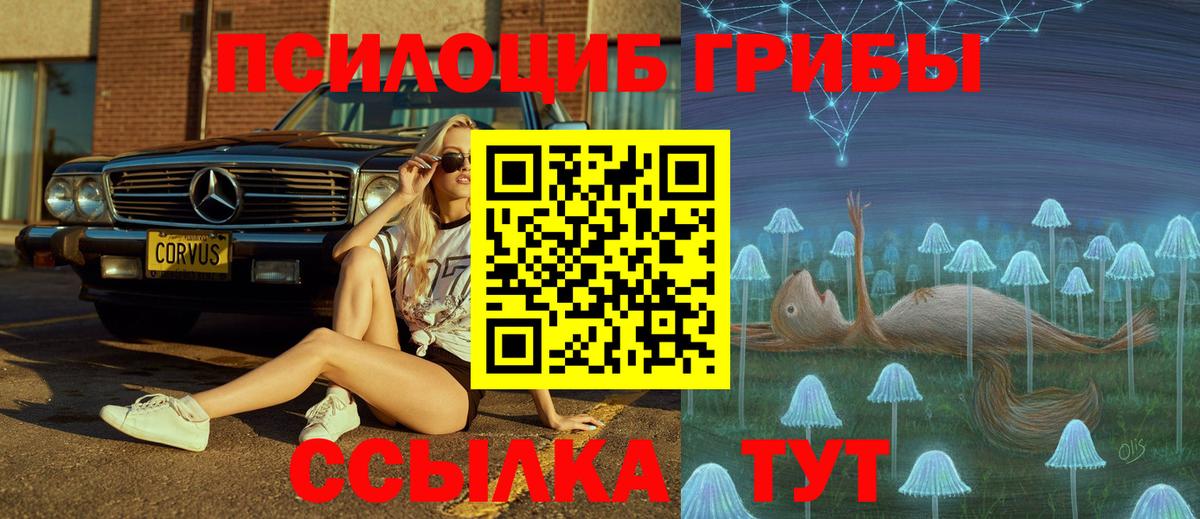 Галлюциногенные грибы Psilocybine cubensis  Вход с VPN  Усть-Джегута 